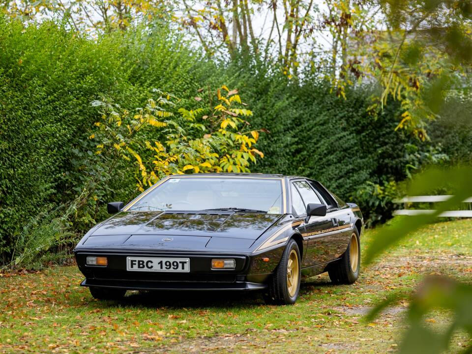 Immagine 29/50 di Lotus Esprit S2 (1979)
