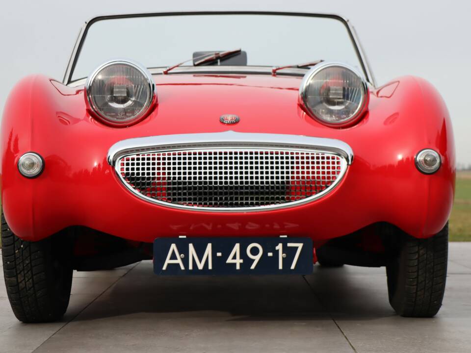 Bild 5/50 von Austin-Healey Sprite Mk I (1959)