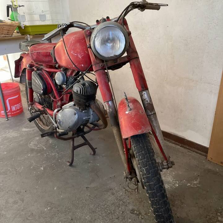 Bild 2/4 von Benelli Leoncino 2T (1955)