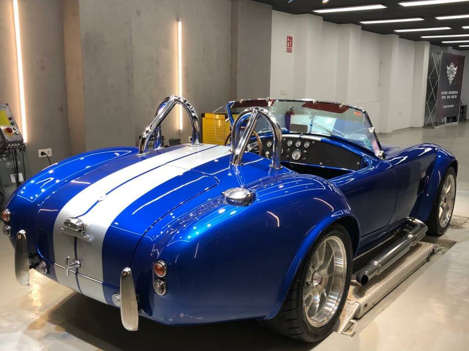 Image 10/18 of AC Cobra (2011)