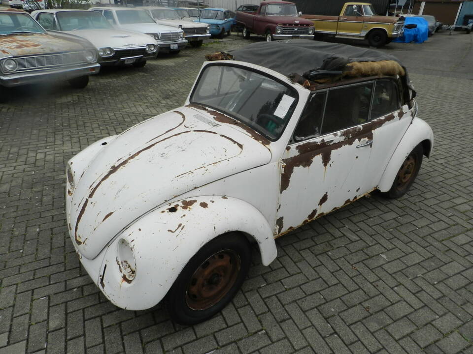 Bild 46/51 von Volkswagen Käfer 1500 (1968)