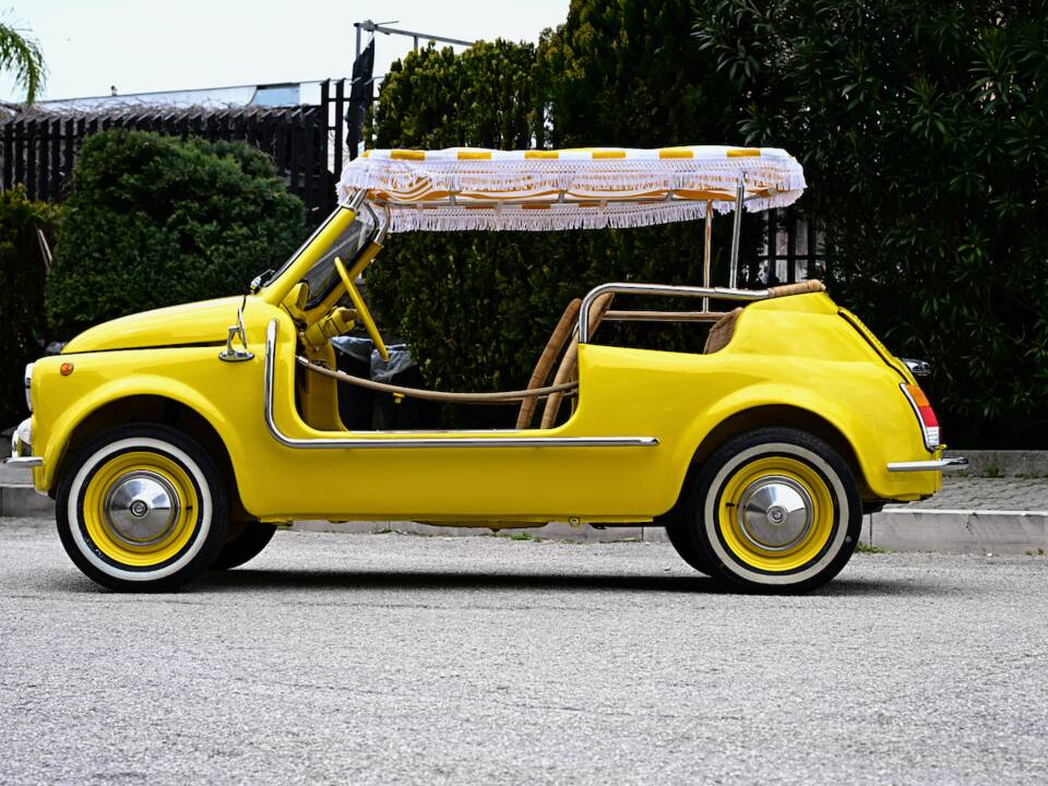 Image 6/45 of FIAT Ghia 500 Jolly (1971)