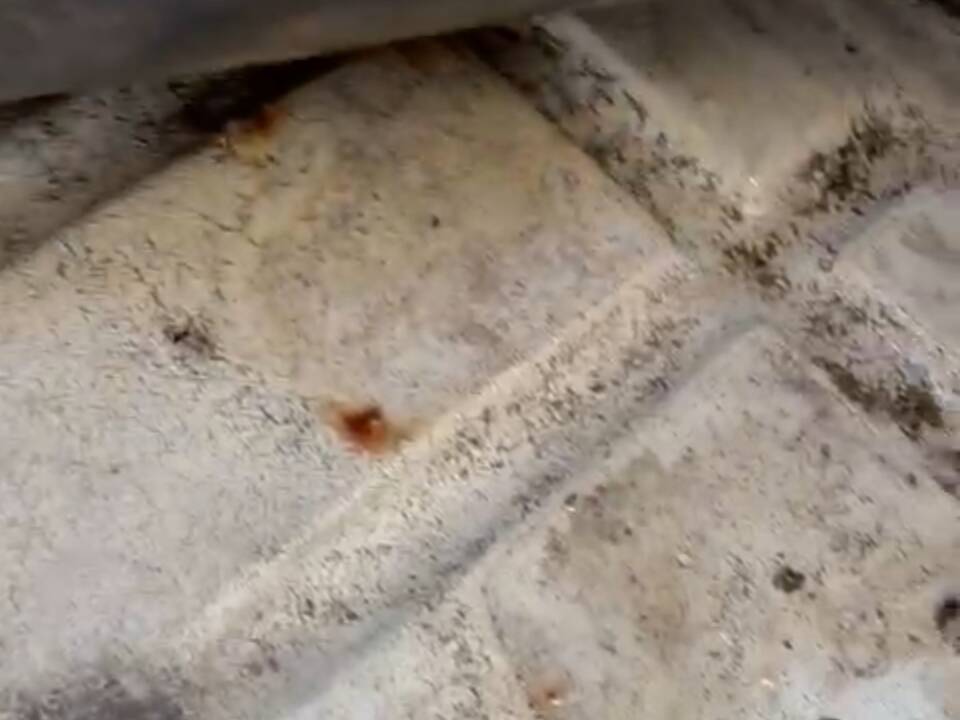 Afbeelding 24/54 van Citroën 2 CV 6 Club (1985)