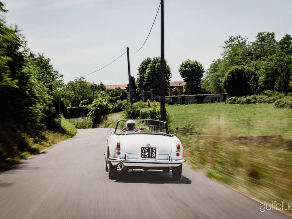 Image 4/71 de Alfa Romeo Giulietta Spider (1960)