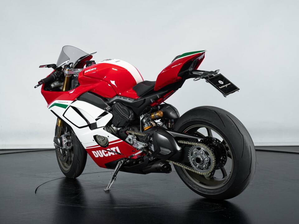 Bild 2/44 von Ducati DUMMY (2019)