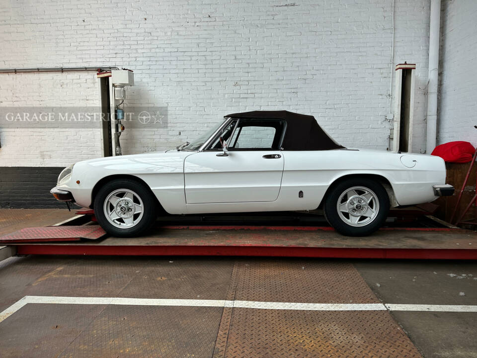 Afbeelding 72/72 van Alfa Romeo 2000 Spider Veloce (1981)