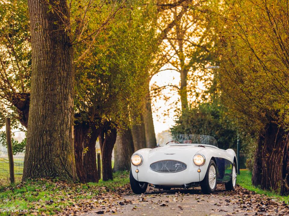 Immagine 1/17 di Austin-Healey 100 S (1955)