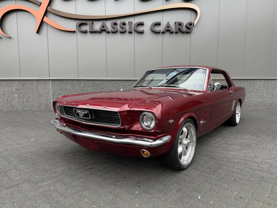 Bild 9/47 von Ford Shelby GT 350 (1966)