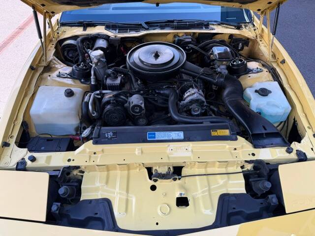 Image 20/25 of Pontiac Firebird TransAm (1992)