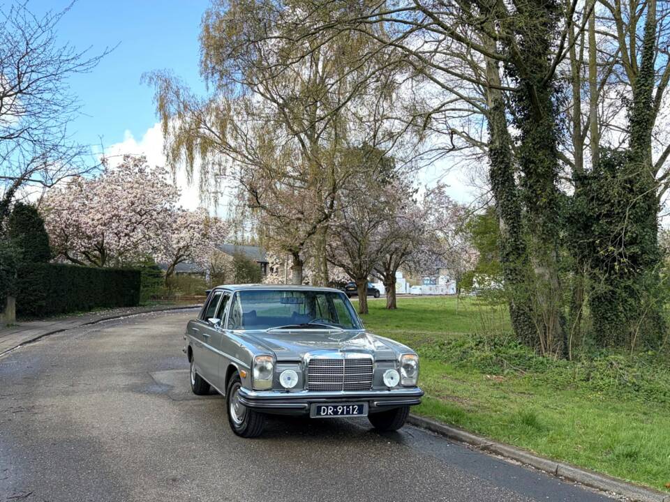 Image 15/24 of Mercedes-Benz 250 (1971)