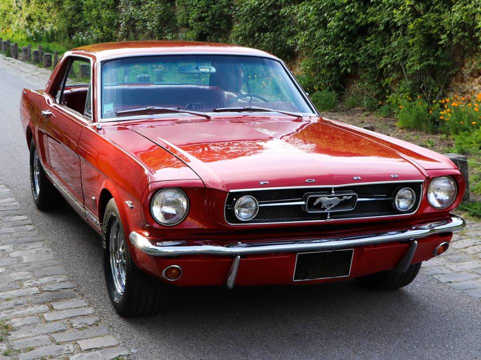 Bild 10/11 von Ford Mustang 289 (1965)