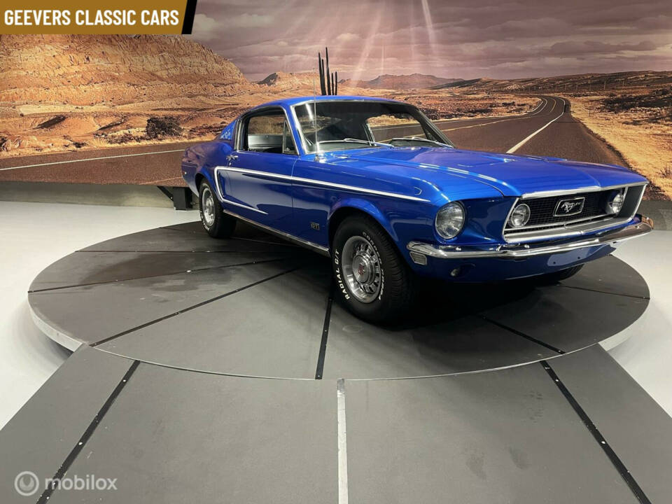 Image 27/50 of Ford Shelby GT 350 (1968)