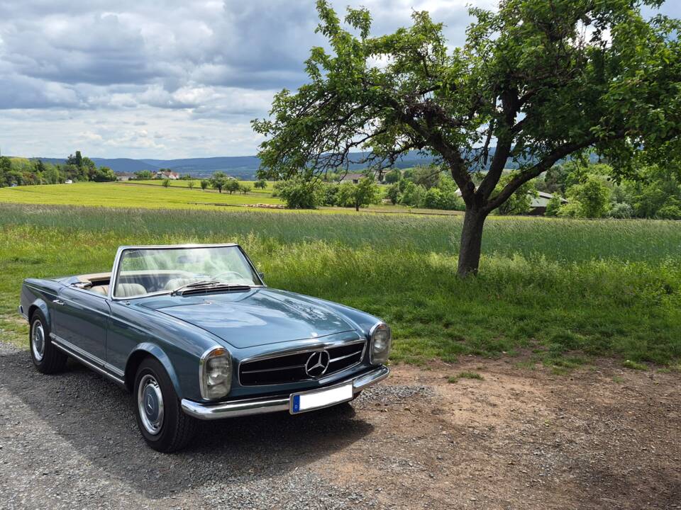 Immagine 1/15 di Mercedes-Benz 280 SL (1970)
