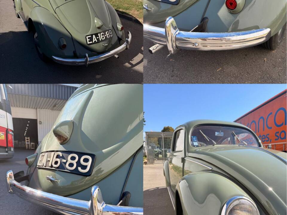 Image 48/49 of Volkswagen Beetle 1100 Standard (Brezel) (1950)
