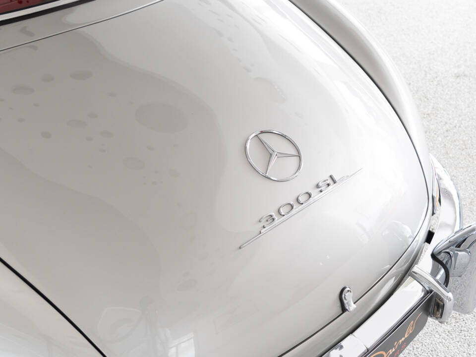Image 25/48 de Mercedes-Benz 300 SL &quot;Papillon&quot; (1956)