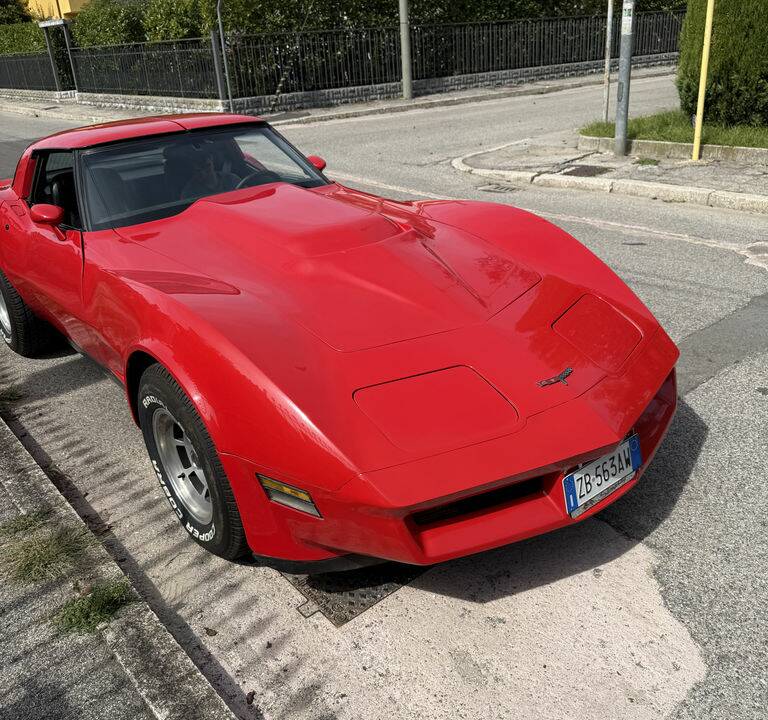 Image 3/8 of Chevrolet Corvette Sting Ray (1980)