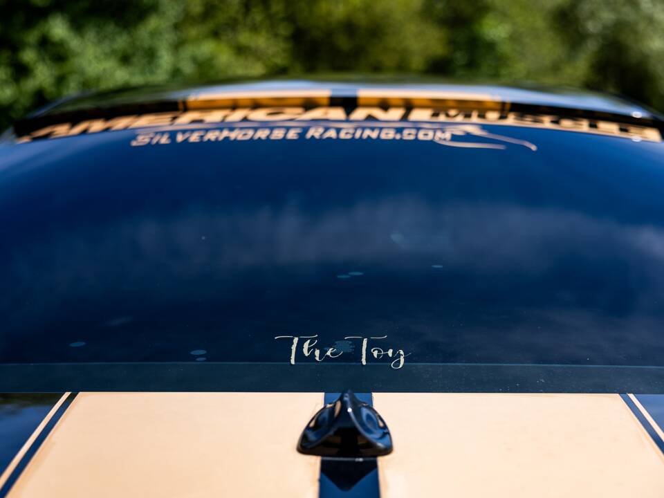 Image 24/50 of Ford Mustang V6 (2009)