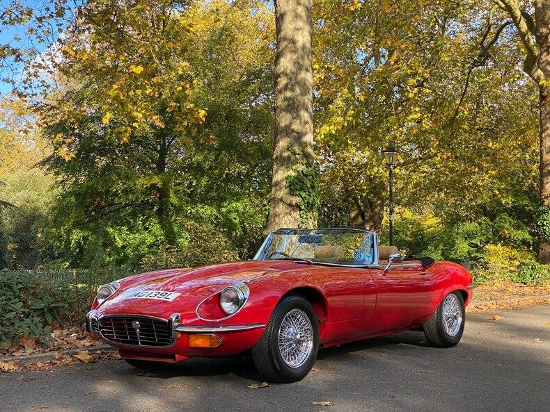 Bild 2/50 von Jaguar E-Type V12 (1973)