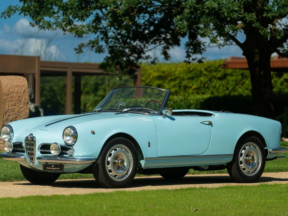 Image 10/50 de Alfa Romeo Giulietta Spider (1957)