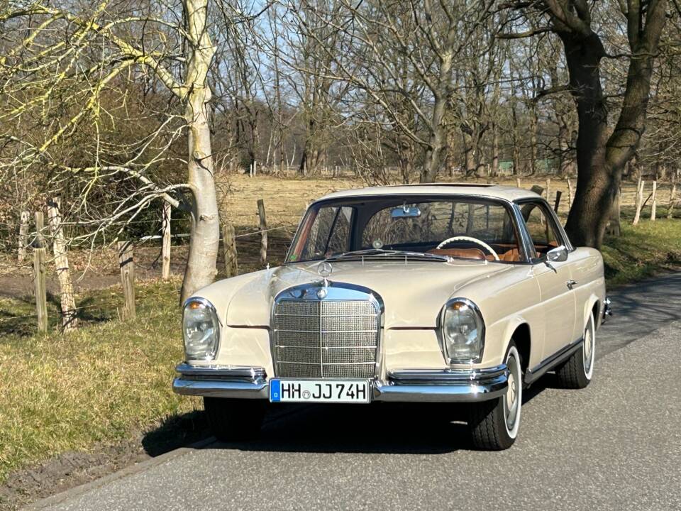 Afbeelding 3/11 van Mercedes-Benz 250 SE (1966)