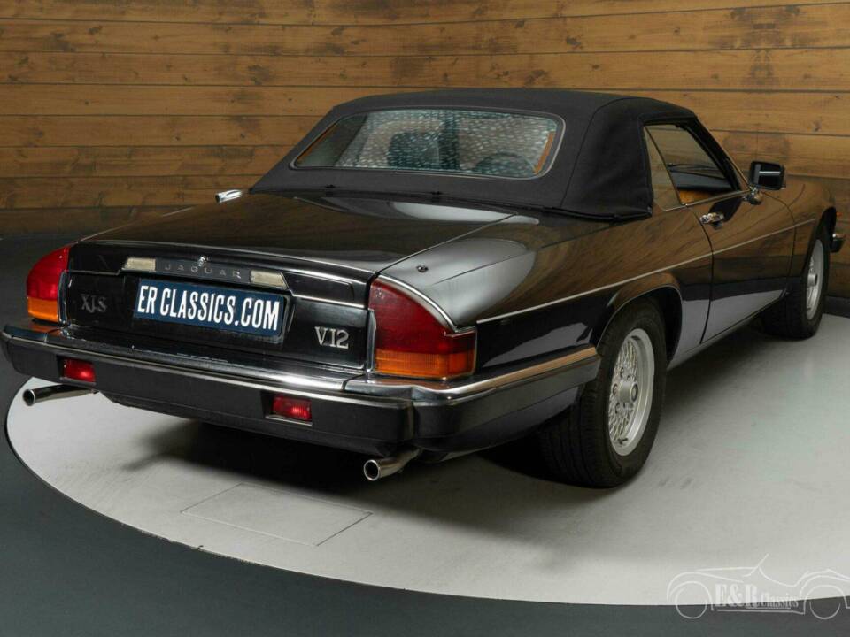 Image 11/19 de Jaguar XJS 5.3 V12 (1990)