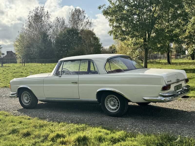 Image 31/50 of Mercedes-Benz 220 SE b (1963)
