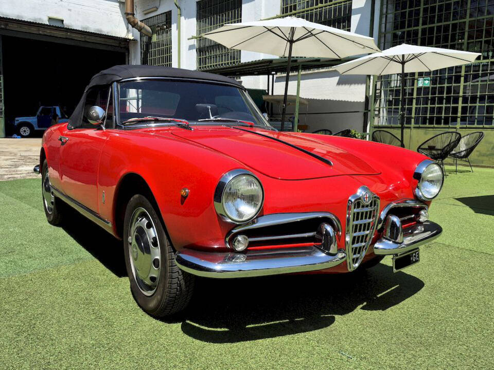 Image 56/71 of Alfa Romeo Giulietta Spider (1961)