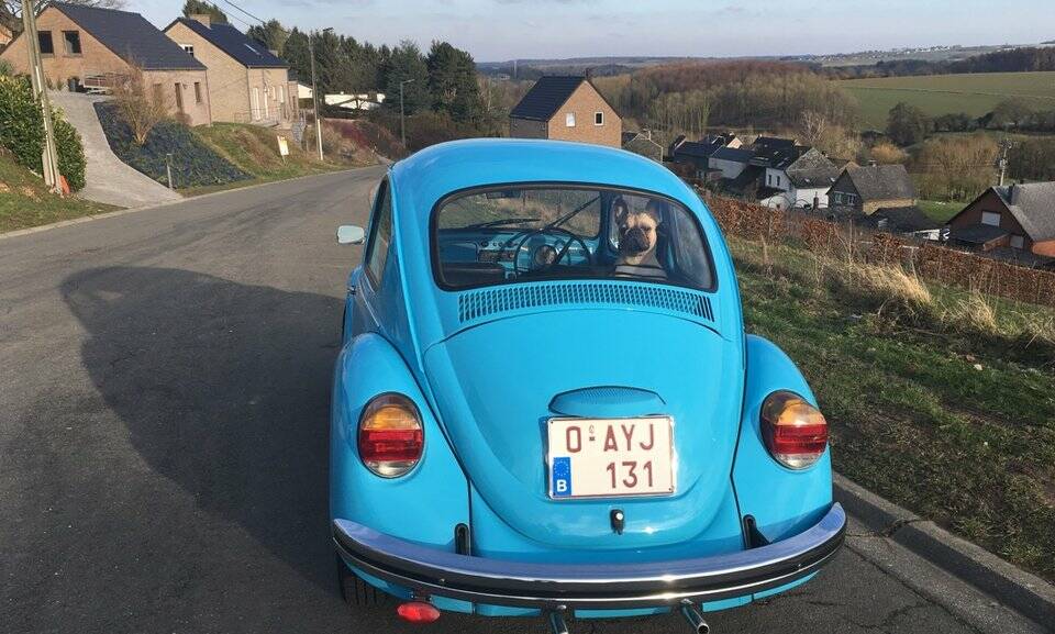Image 5/8 of Volkswagen Beetle 1200 (1975)