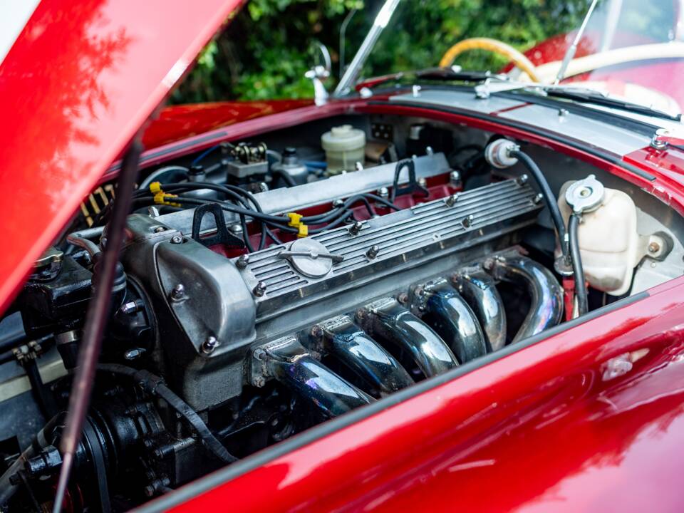 Bild 43/50 von Dax Cobra (1976)