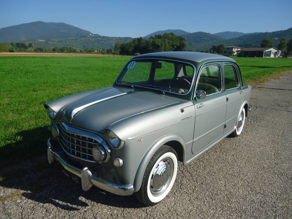 Afbeelding 5/50 van FIAT 1100-103 Vignale (1956)