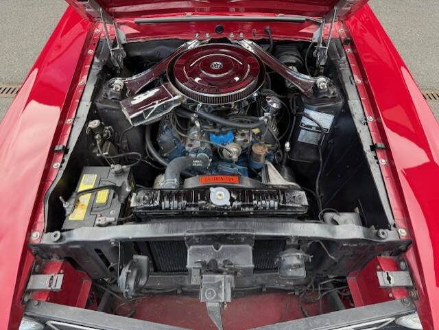 Image 22/31 of Ford Shelby GT 350 (1970)