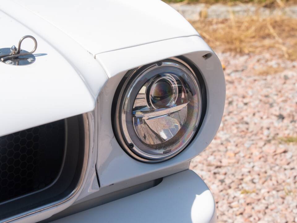 Image 14/54 of Ford Shelby GT 350 (1965)