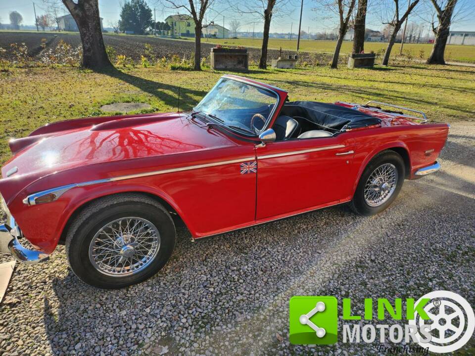 Immagine 4/10 di Triumph TR 5 PI (1968)