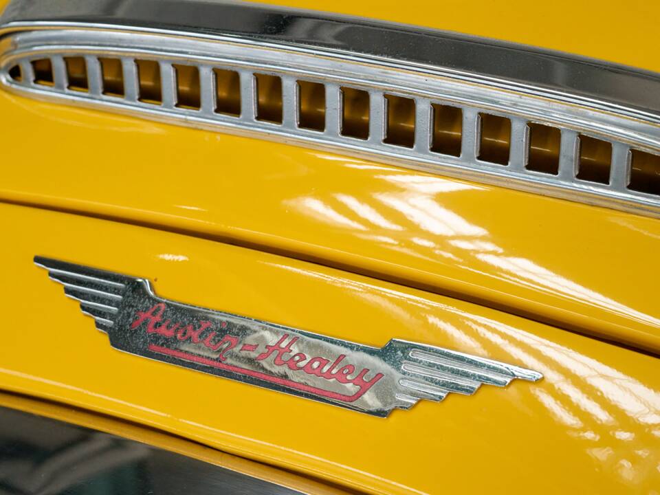 Bild 6/50 von Austin-Healey 100/6 (BN4) (1957)