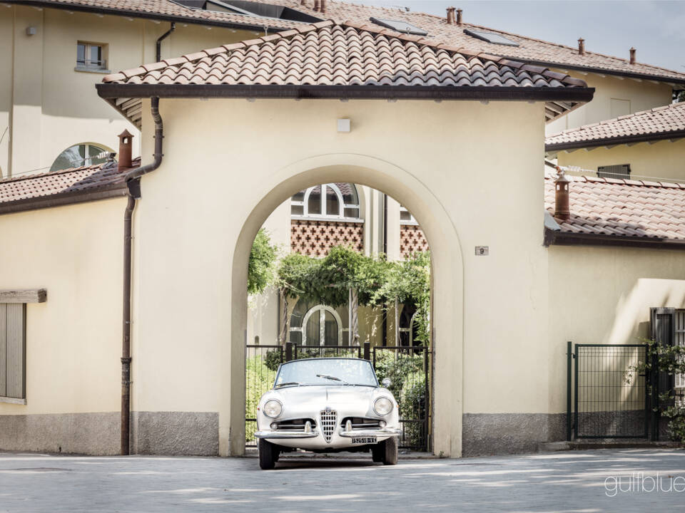 Image 13/71 de Alfa Romeo Giulietta Spider (1960)