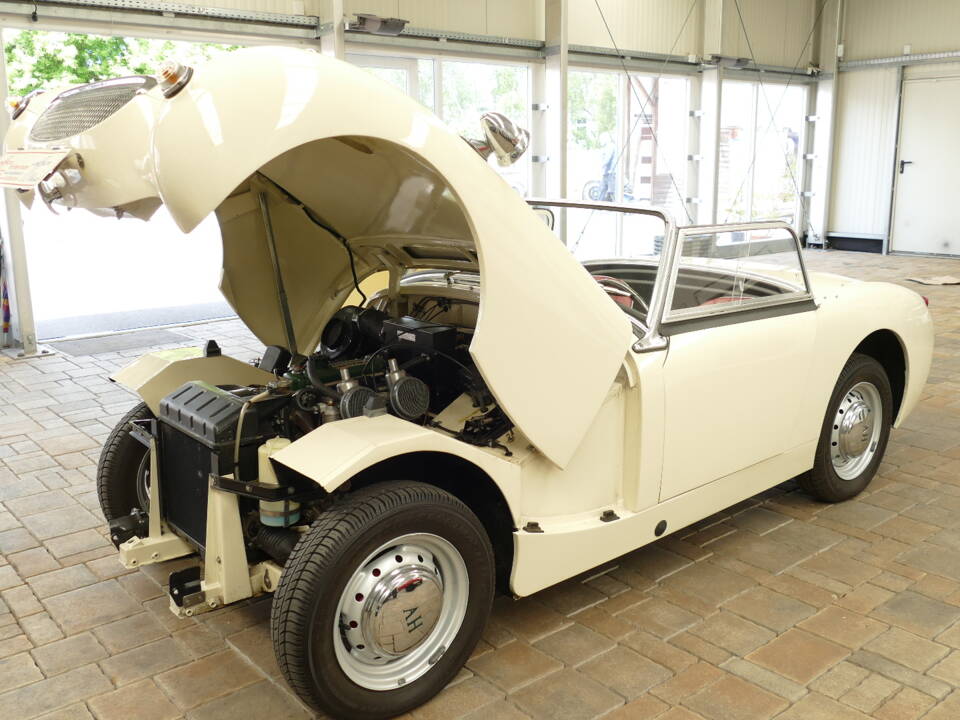 Image 14/21 of Austin-Healey Sprite Mk I (1959)