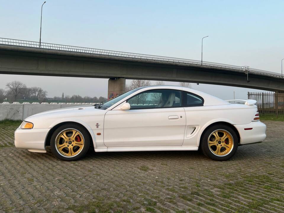 Bild 5/8 von Ford Mustang Cobra (1996)