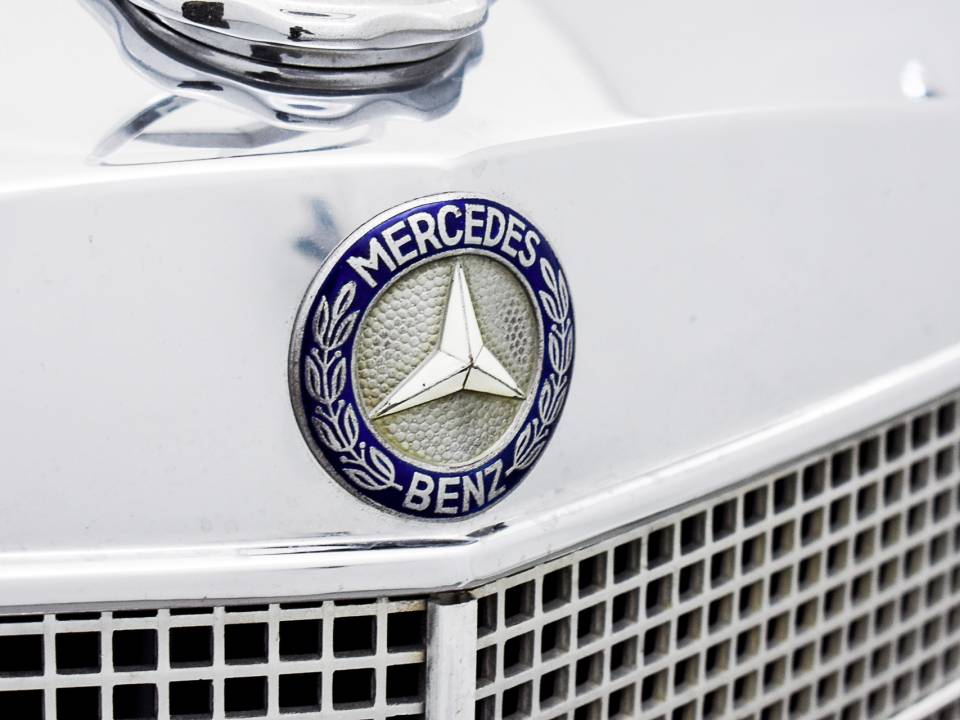 Bild 8/31 von Mercedes-Benz 250 SE (1967)