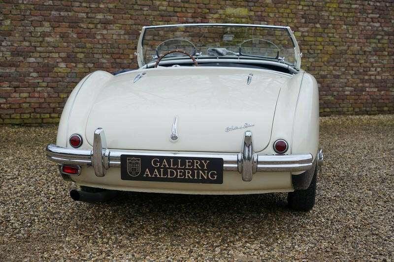 Image 40/50 of Austin-Healey 100&#x2F;4 (BN1) (1955)