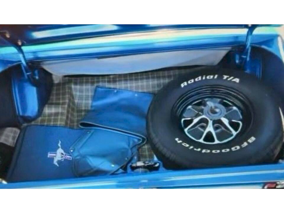 Bild 18/31 von Ford Mustang 289 (1967)