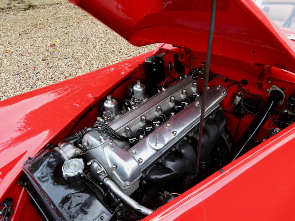 Image 18/50 of Jaguar XK 120 SE OTS (1954)