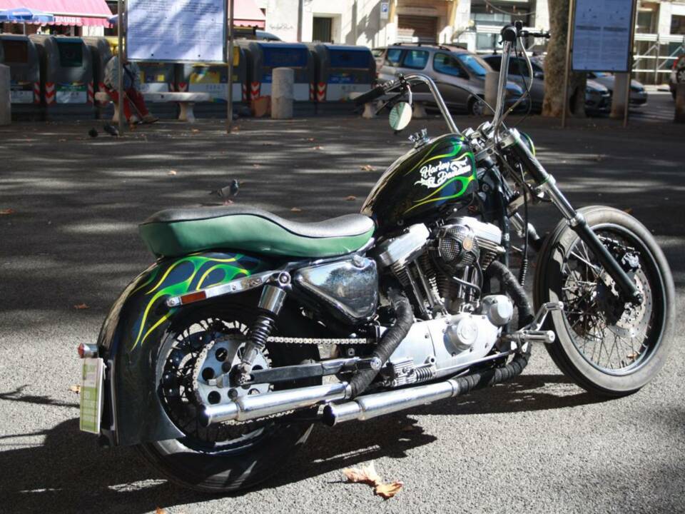 Image 13/50 of Harley-Davidson DUMMY (1995)