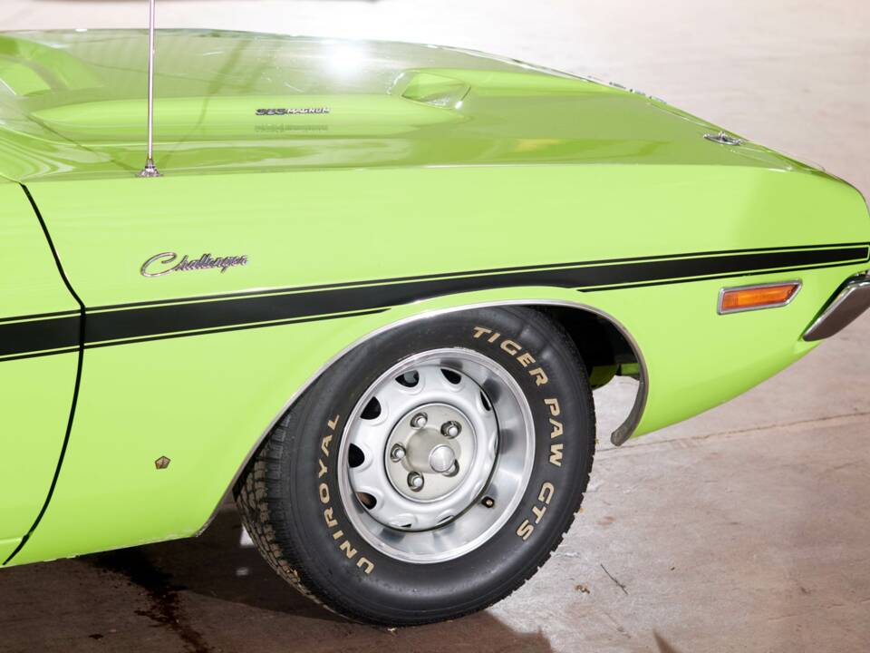 Immagine 71/71 di Dodge Challenger R/T (1970)