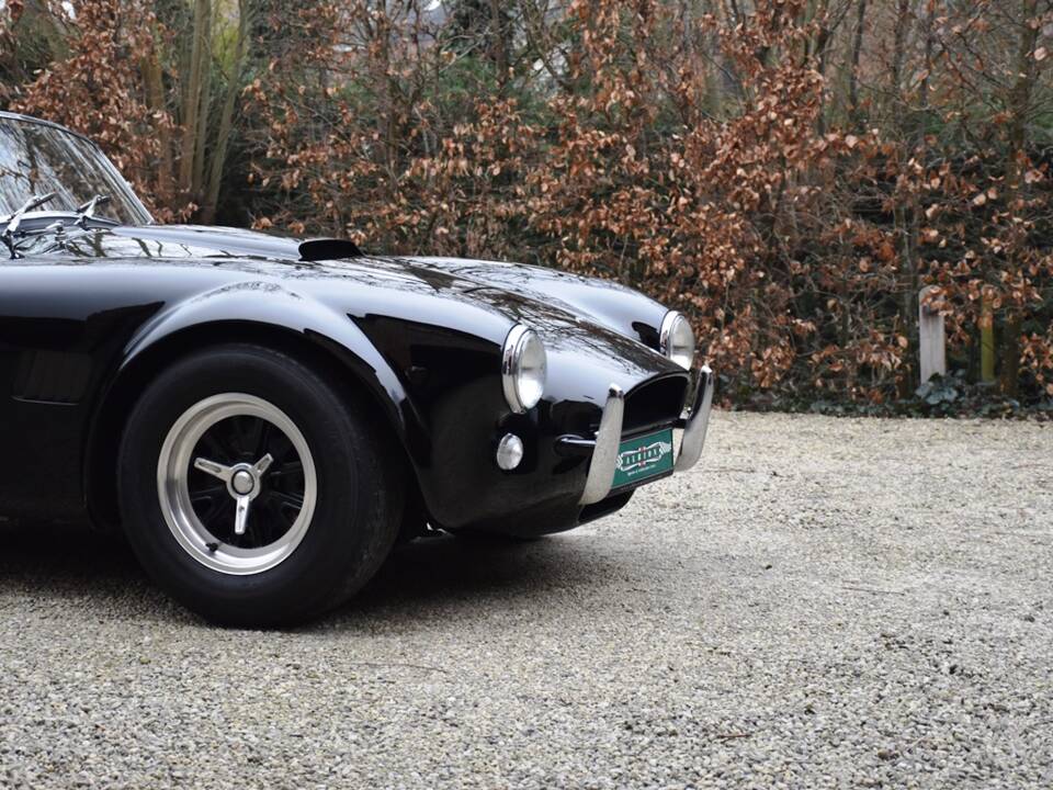 Immagine 14/34 di AC Cobra Mk IV (1985)