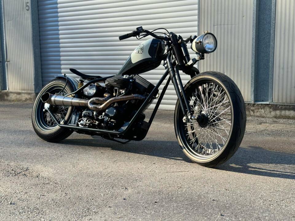 Imagen 10/60 de Harley-Davidson DUMMY (2017)