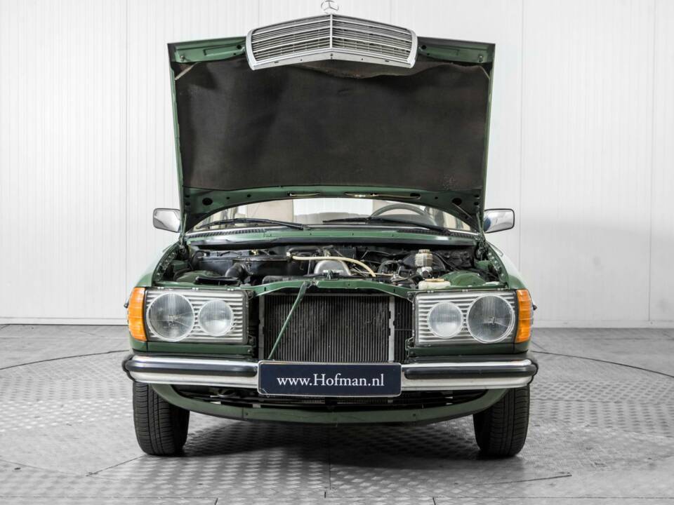 Afbeelding 37/50 van Mercedes-Benz 300 D (1978)