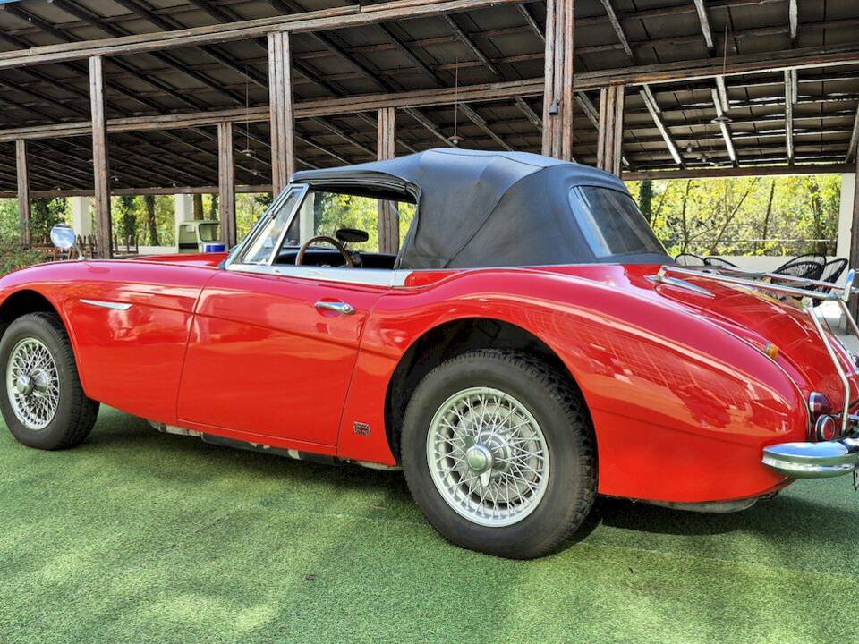 Imagen 53/53 de Austin-Healey 3000 Mk III (BJ8) (1965)