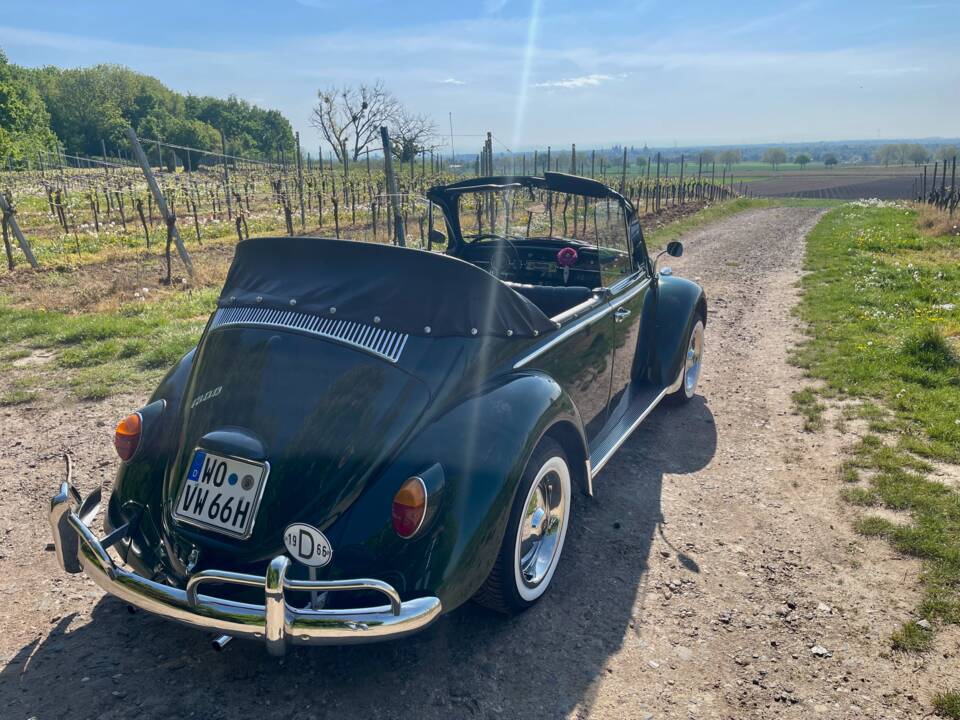 Bild 2/9 von Volkswagen Käfer 1300 (1966)