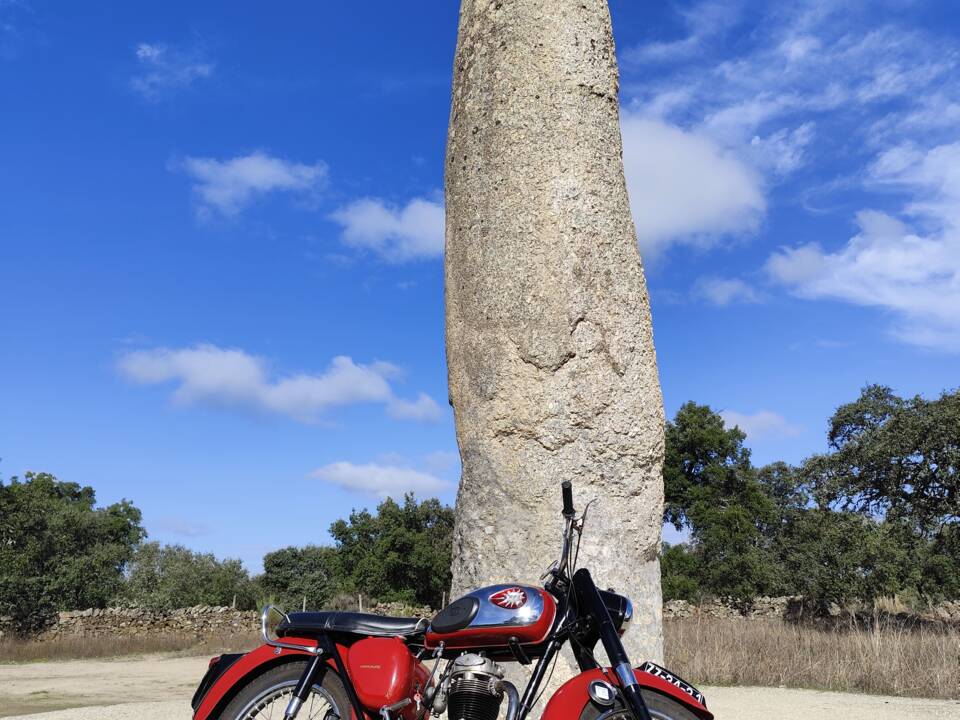 Image 40/51 of BSA B 44 (1966)