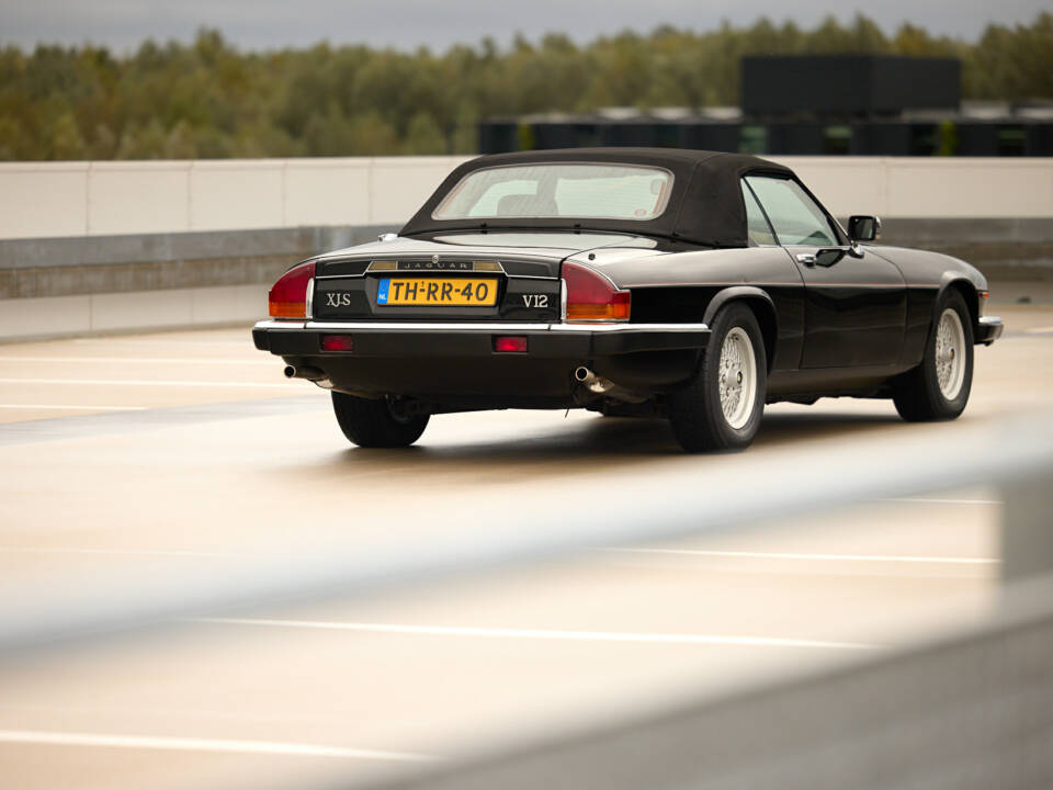 Image 15/37 de Jaguar XJ-S Convertible (1989)